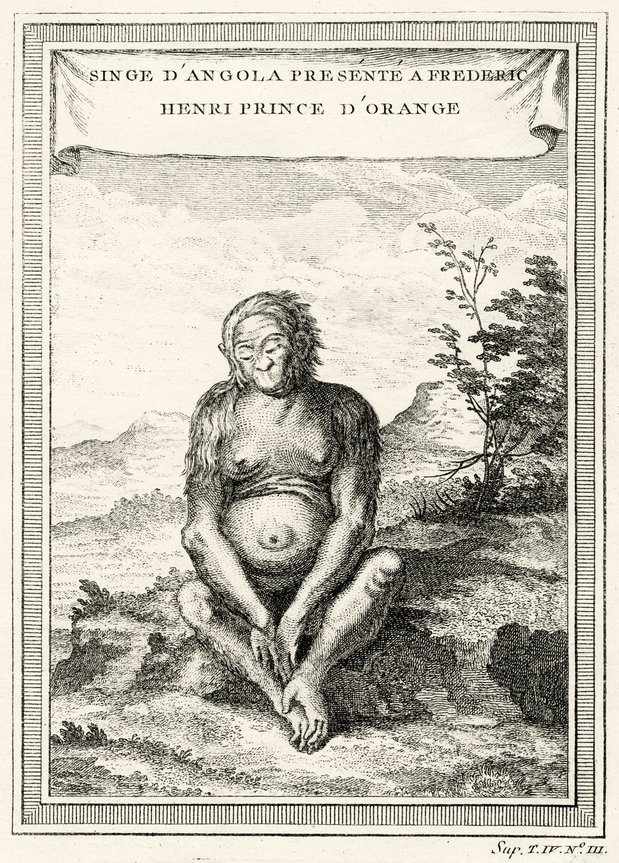 Illustration of the Orang-Outang Presented to Frederick Henry, Prince of Orange by Abbé Prévost