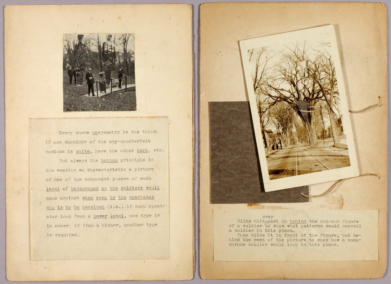 Slide this grey card..., study folder for book Concealing Coloration in the Animal Kingdom by Abbott Handerson Thayer