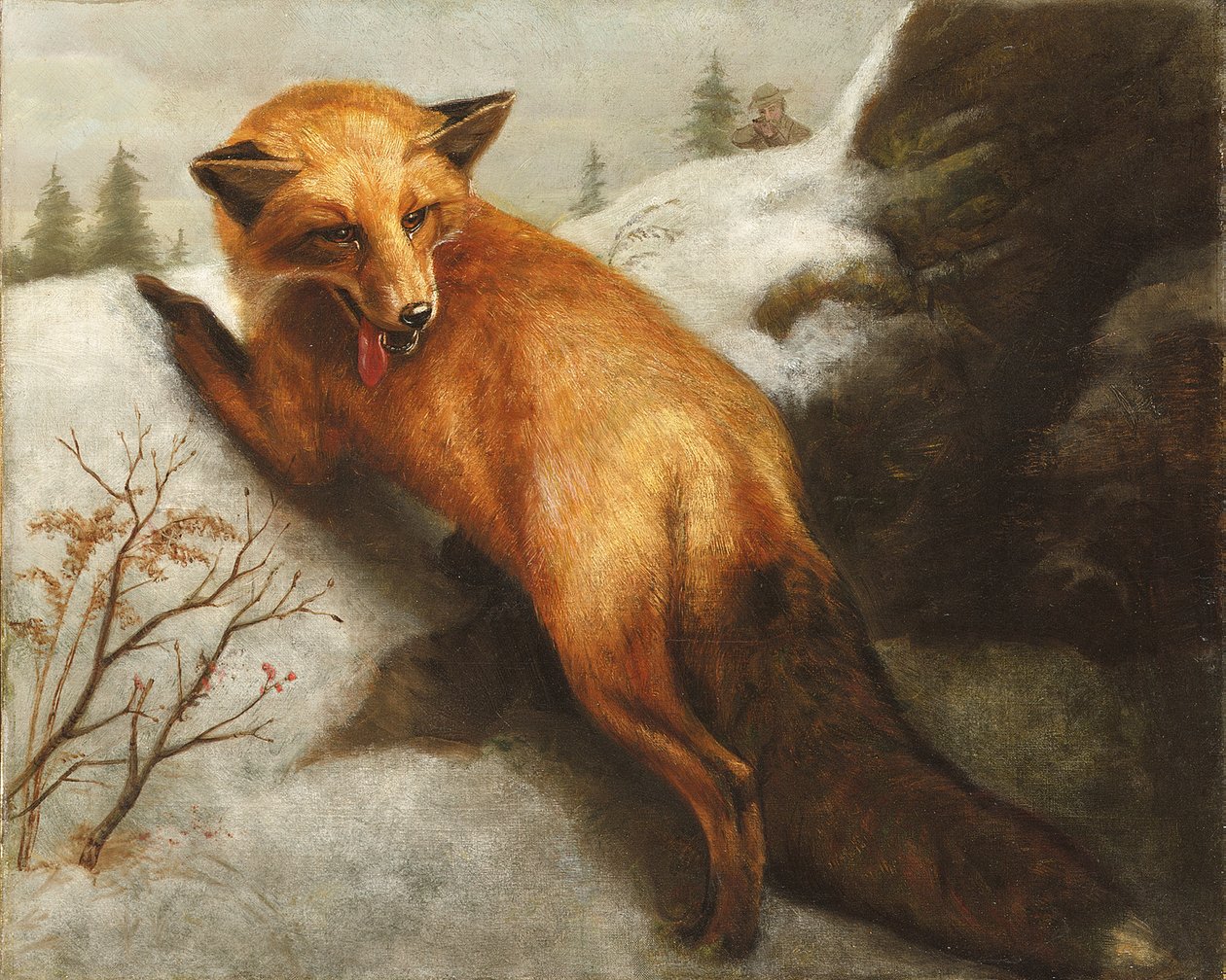The Red Fox by Abbott Handerson Thayer