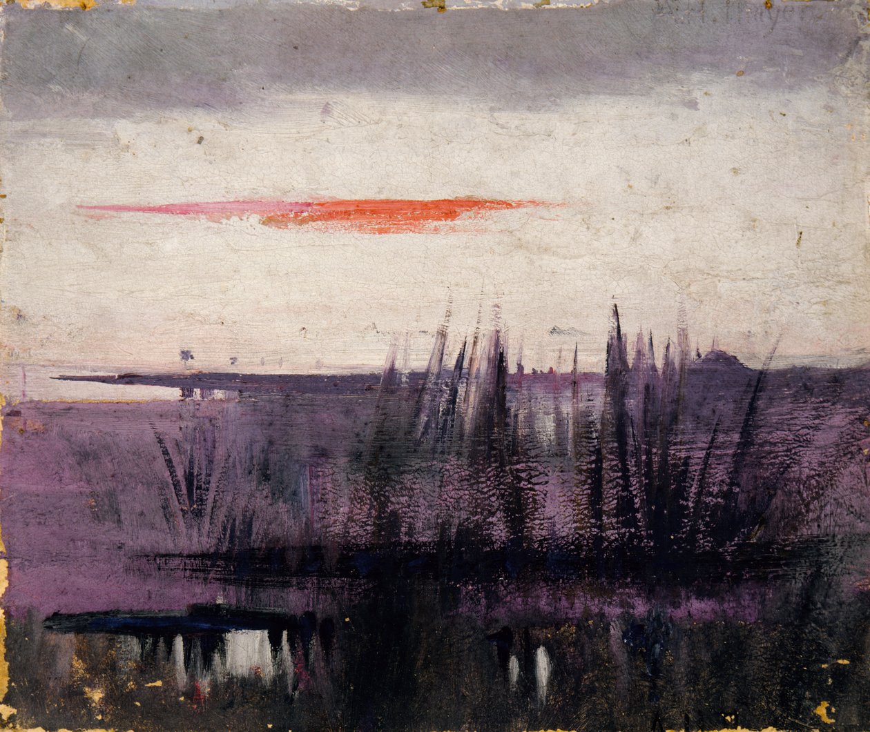 The Sky Simulated by White Flamingoes Study for Book in the Animal Kingdom by Abbott Handerson Thayer