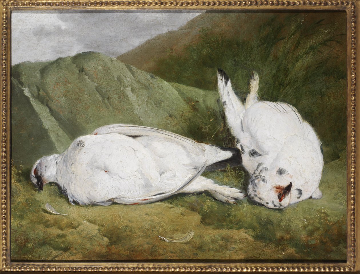 Ptarmigan by Abel Hold