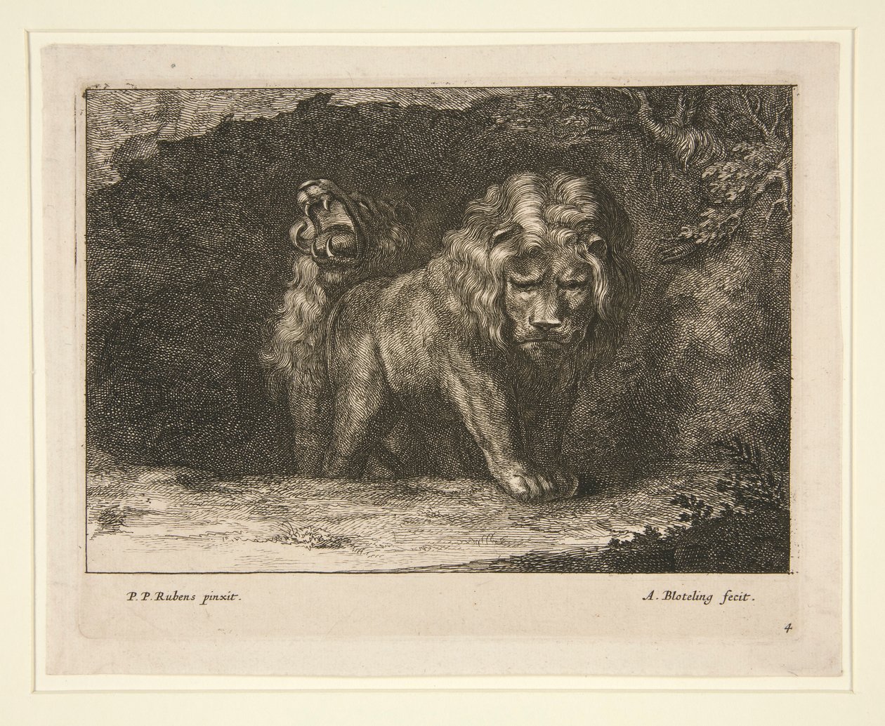 Lions. From the series by Abraham Blooteling