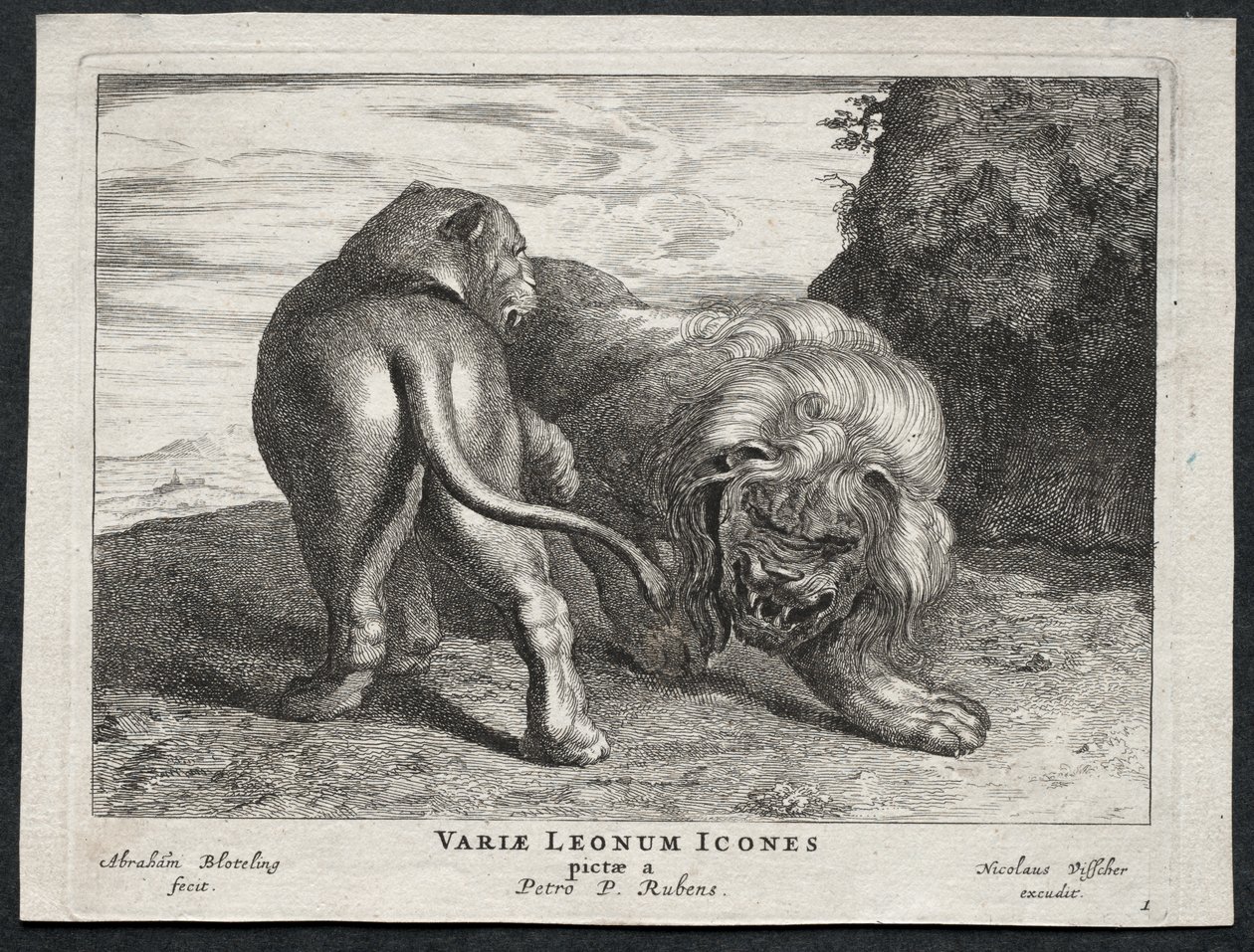 Various Lions by Abraham Blooteling