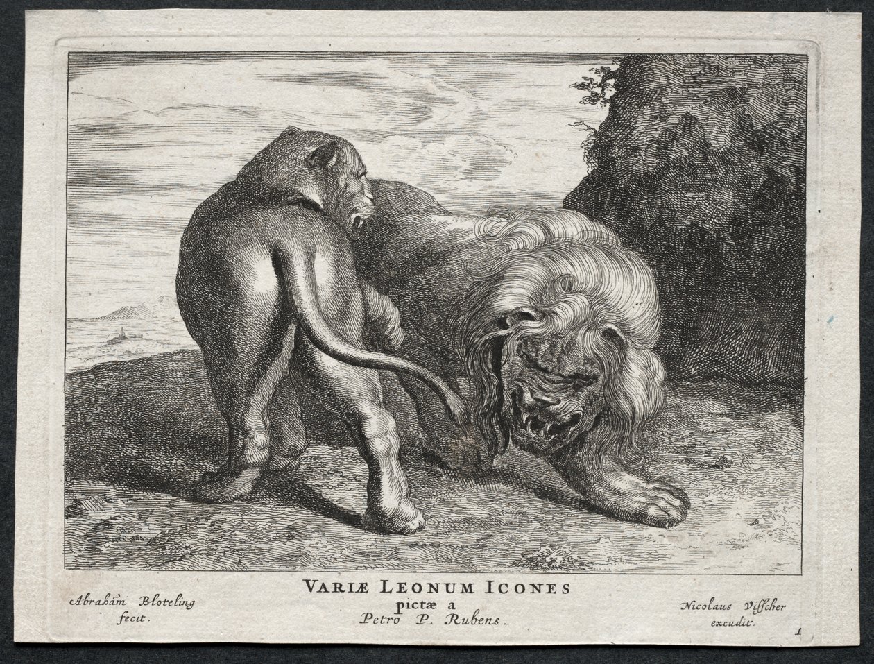 Various Lions by Abraham Blooteling