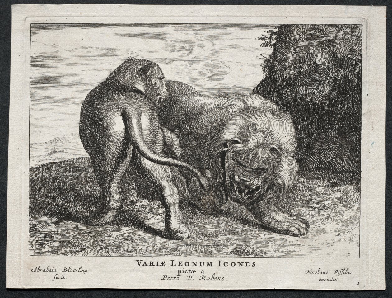 Various Lions by Abraham Blooteling