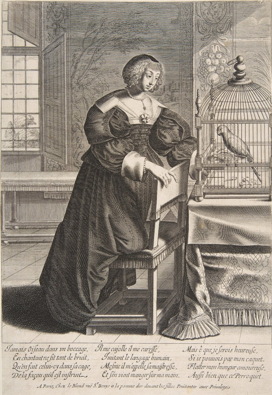 The Parrot, 1620-76 by Abraham Bosse