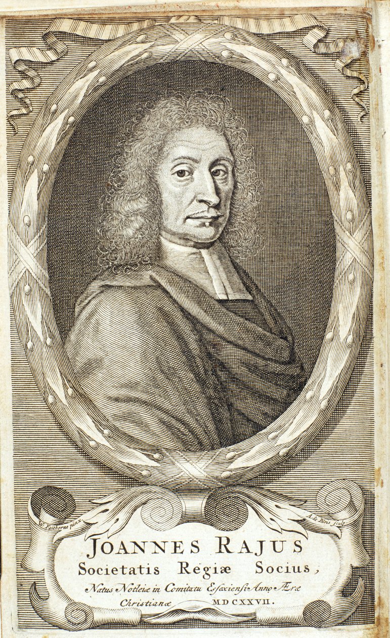 John Ray, English naturalist by Abraham de Blois