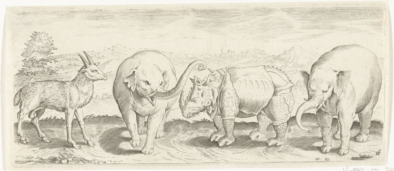 Gazelle, Elephant, and Rhinoceros (Animals series) by Abraham de Bruyn (possibly)