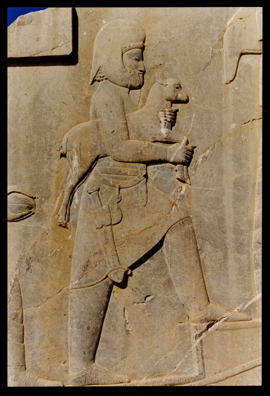 A Mede carrying a sacrificial lamb up the eastern stairway of the south portico of Darius