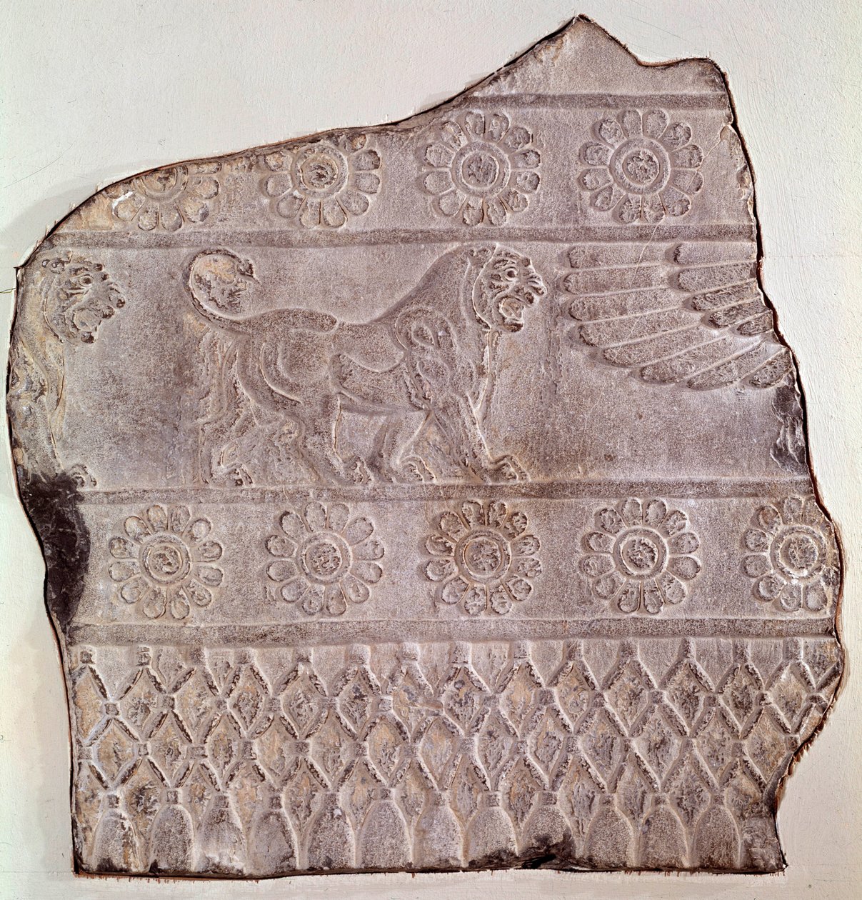 Fragment of low relief representing a walking lion, from Persepolis by Achaemenid
