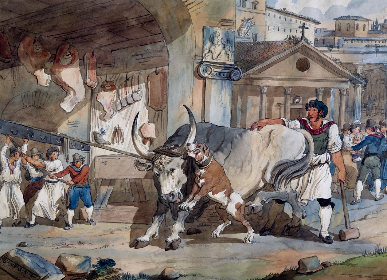Butcher, by Achille Pinelli, watercolor drawing, Italy by Achille Pinelli