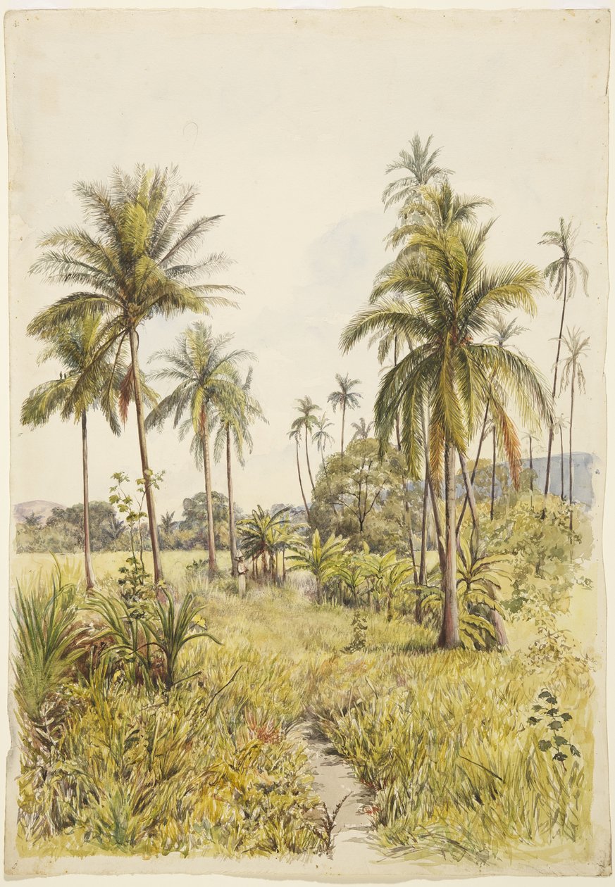 Palm trees, Colima by Adela Breton
