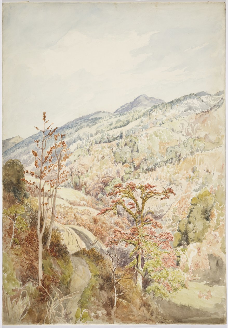 Wooded valley- Cuetzalan, Puebla, Gulf of Mexico by Adela Breton