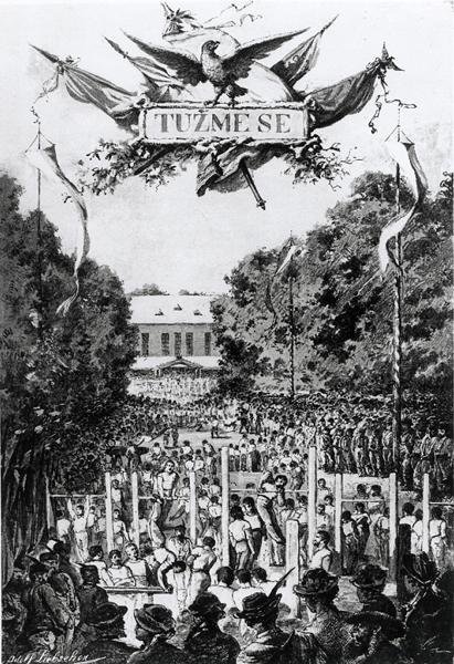 Tuzmese, First Meeting of the Sokols in Prague by Adolf (after) Liebscher