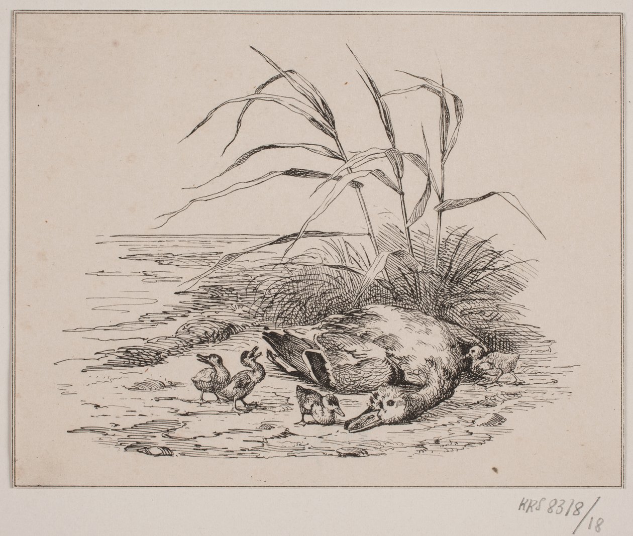 The Killed Duck by Johan Adolph Kittendorff