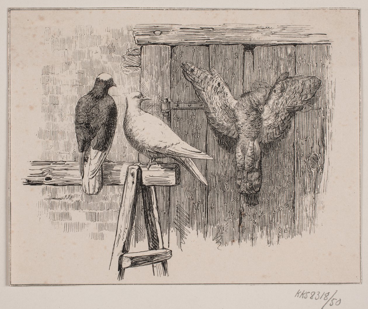 The Doves by Johan Adolph Kittendorff