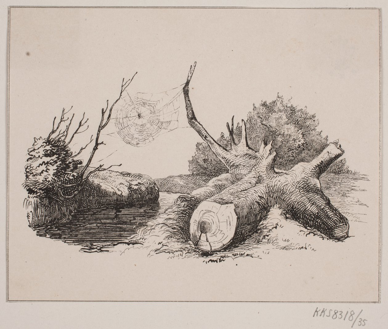 The Spider by Johan Adolph Kittendorff