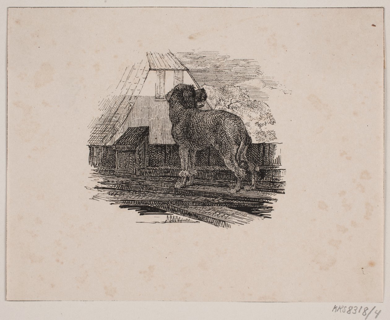 The Poodle by Johan Adolph Kittendorff