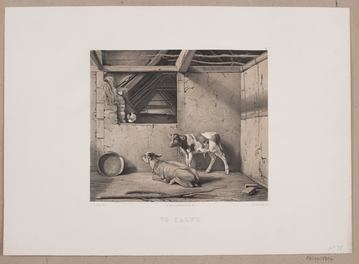 Two Calves by Johan Adolph Kittendorff