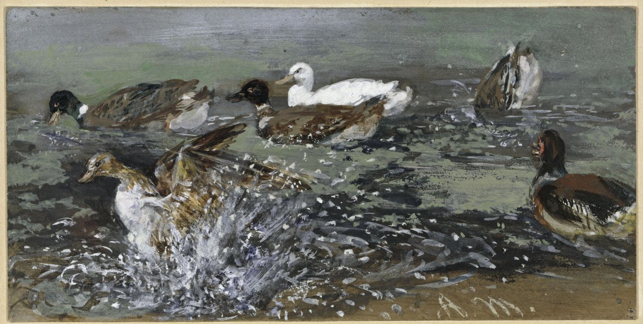 The Ducks in the Water. From the "Children