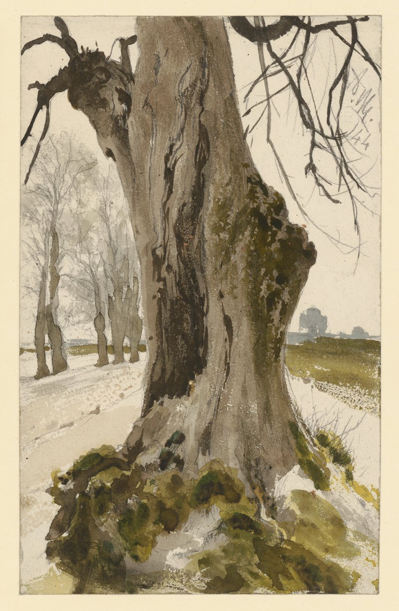 Hollow Tree Stump, with a Group of Trees in the Background by Adolph Menzel