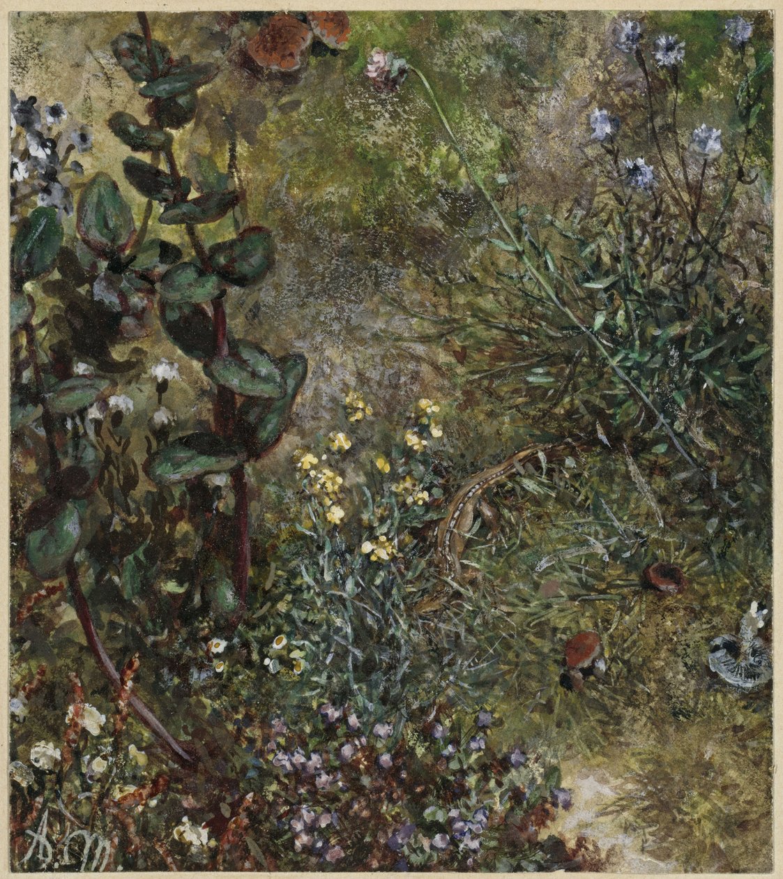 Forest Floor with the Lizard. From the "Children