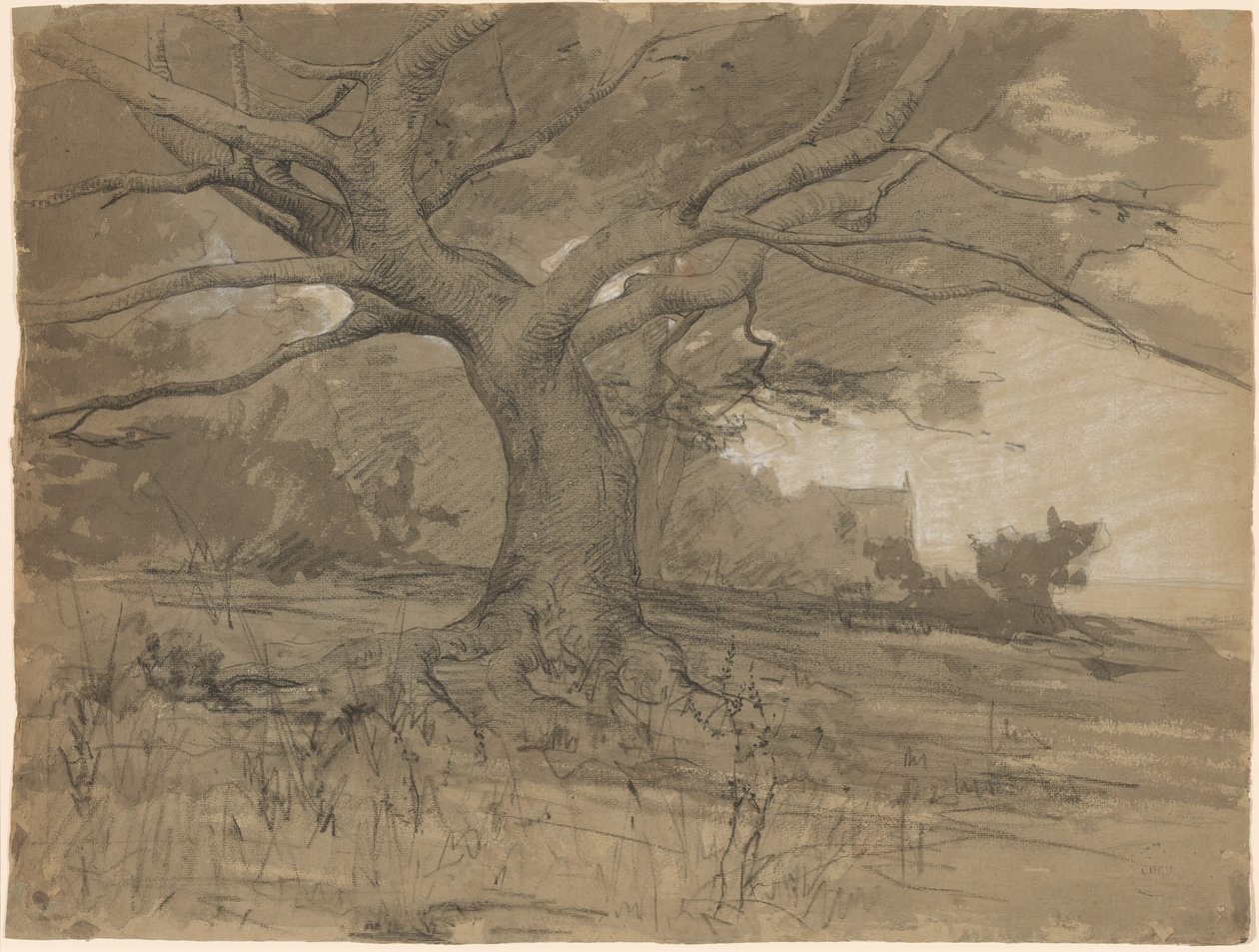 A Great Beech Tree at the Edge of a Wood by Adolphe Appian