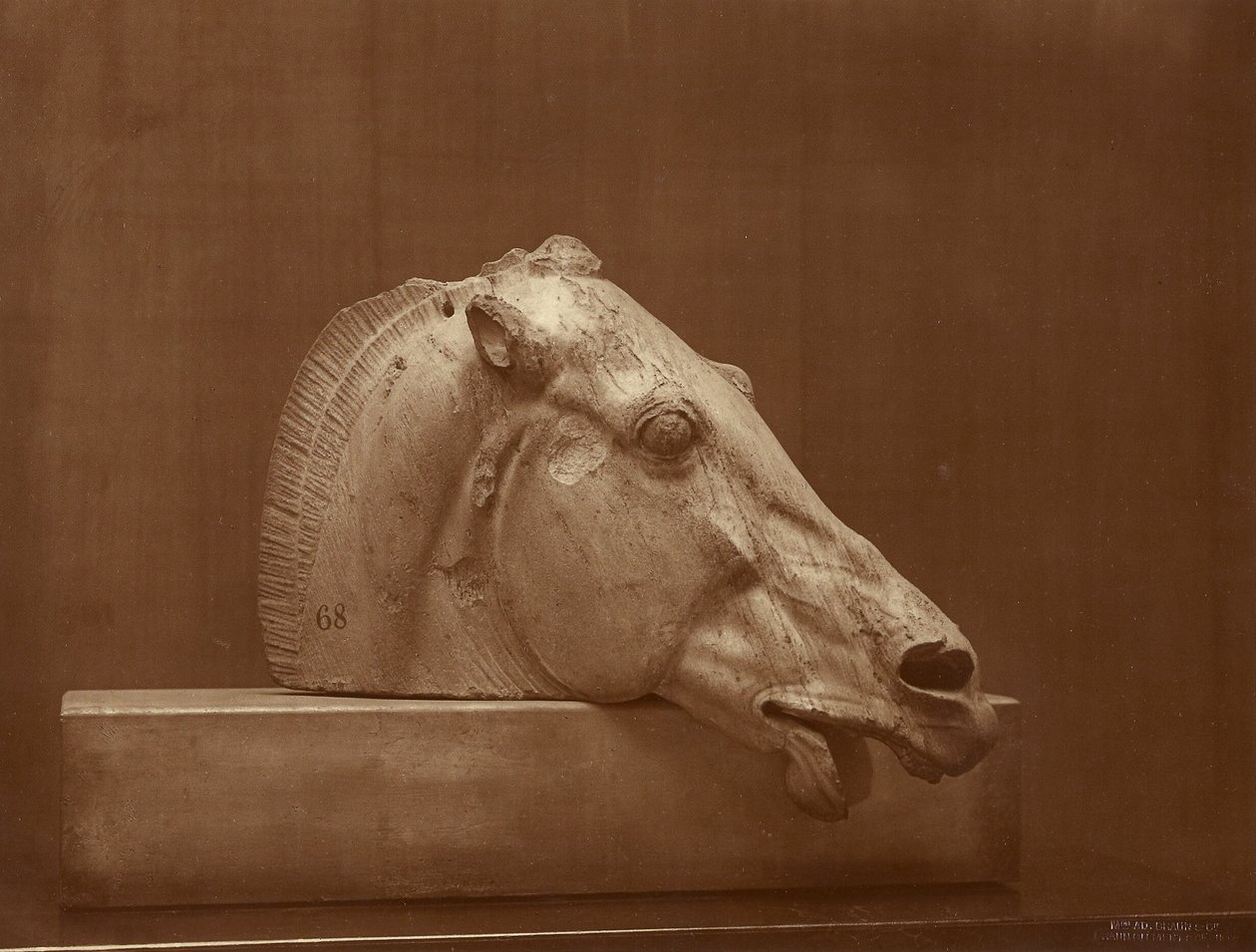 Head of a Horse from the Pediment of the Parthenon, British Museum by Adolphe Braun