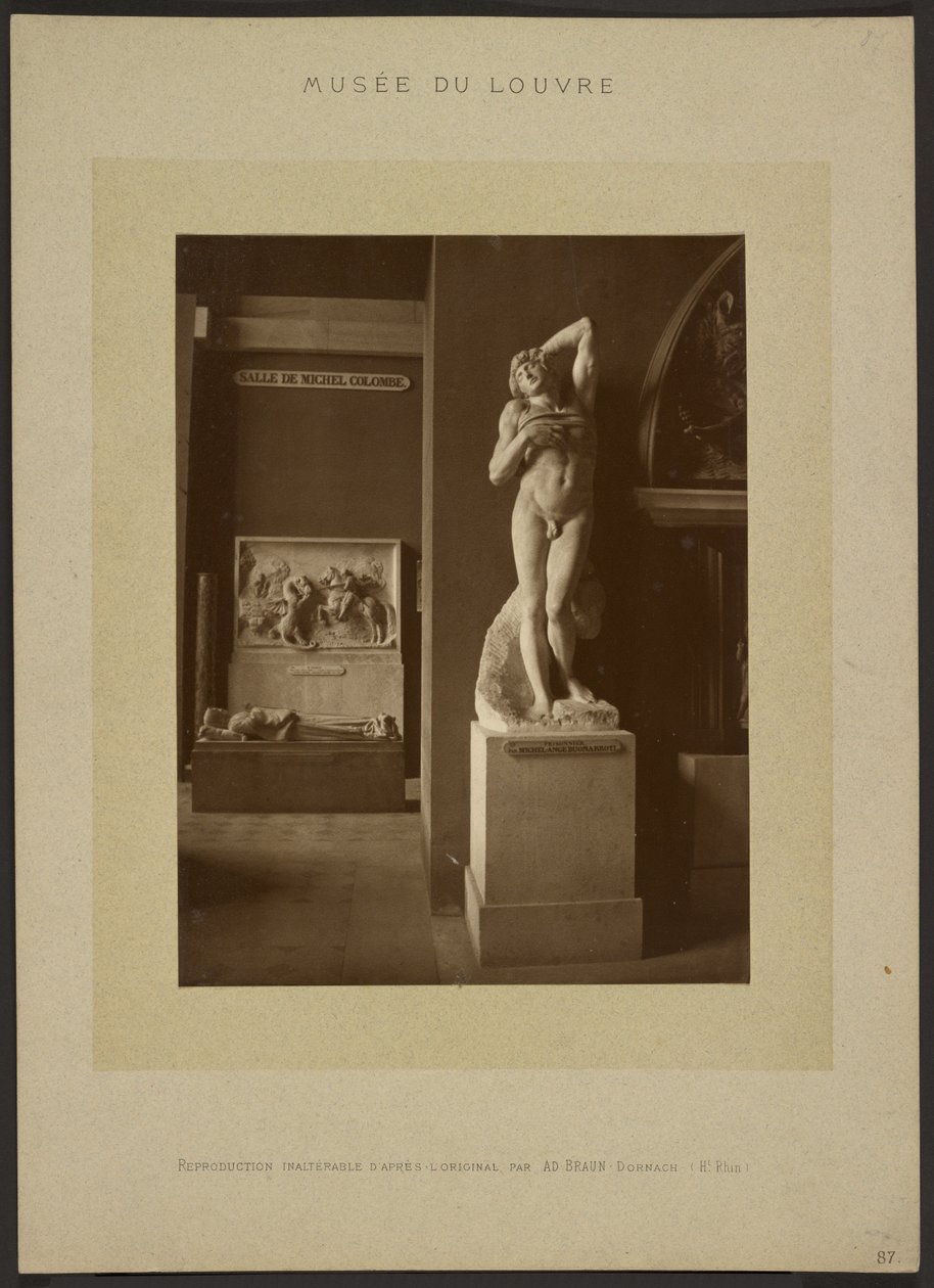 The Dying Slave by Adolphe Braun
