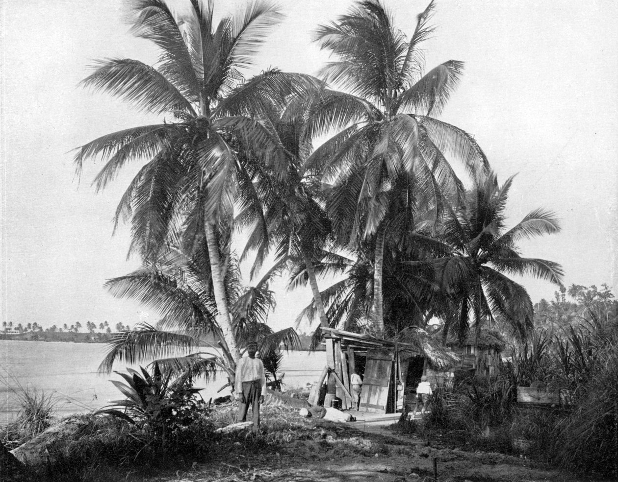 On the road to Blue Hole, Port Antonio, Jamaica by Adolphe Duperly and Son