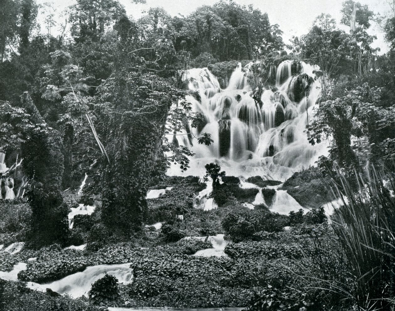 Roaring River Falls, Jamaica by Adolphe Duperly and Son