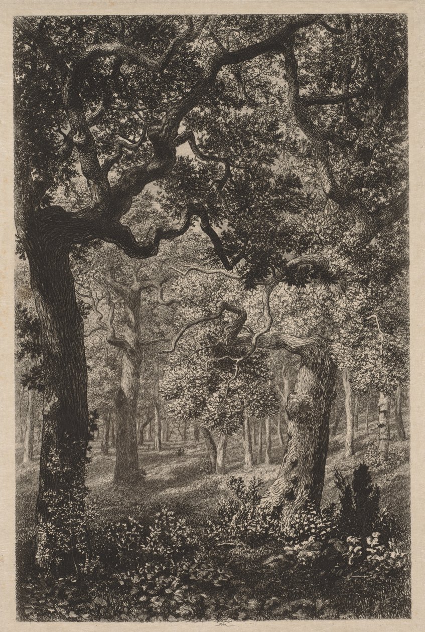 In the Woods by Adolphe Théodore Jules Martial Potémont