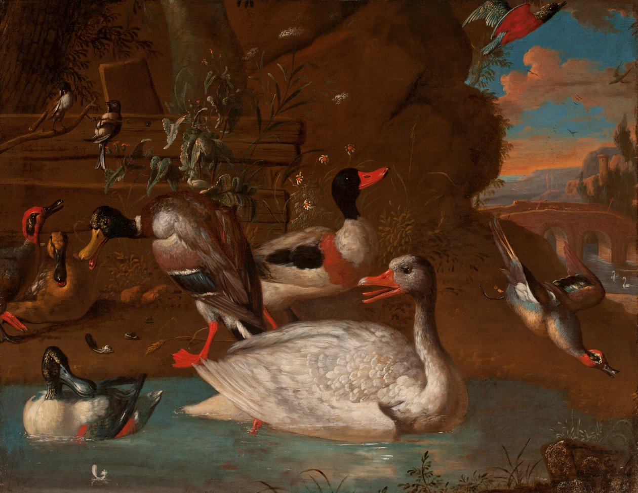 A Norwegian White Goose surrounded by a Shelduck, Mallard, Shovelers, Teals and Long-Tailed Tits in an Italianate Landscape at Twilight, 1703 by Adriaen van Oolen
