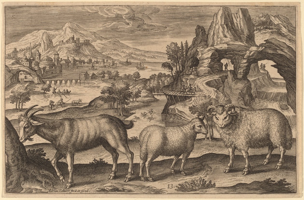 A Goat, a Ewe, and a Ram by Adriaen Collaert