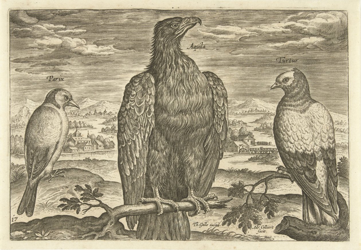 Three Birds in a Landscape (series title: Avivm Vivae, Birds) by Adriaen Collaert