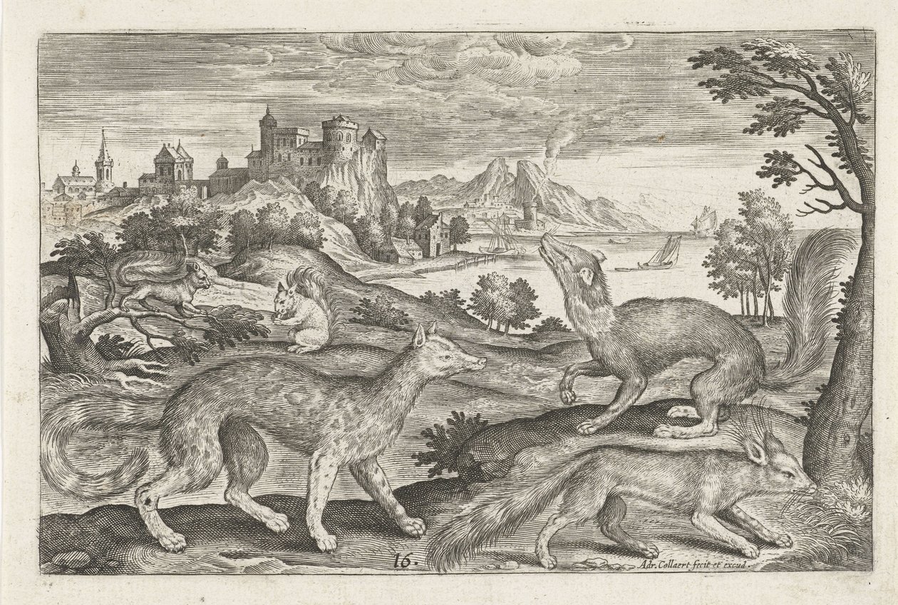 Martens, Squirrels, and a Fox (series title: Four-Legged Animals, Animalivm Qvaddrvpedvm) by Adriaen Collaert
