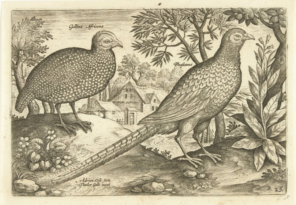 Two Chickens in a Landscape (Avivm Vivae series) by Adriaen Collaert
