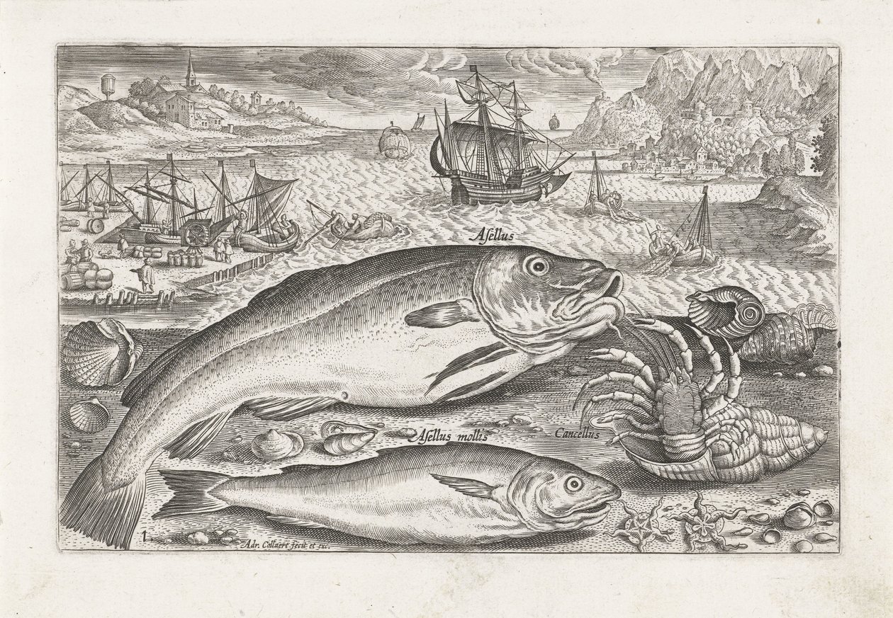 Two Fish on the Beach by Adriaen Collaert