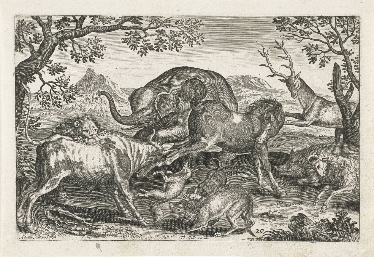 Fighting Animals, Four-legged Animals (series title), Animalivm Qvaddrvpedvm (series title) by Adriaen Collaert