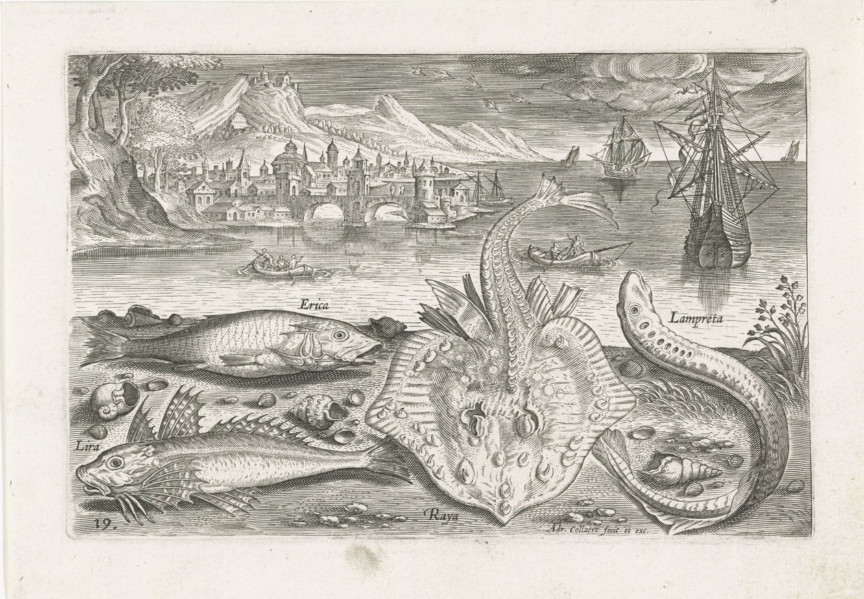 Four Fish on the Beach (series title) Piscivm vivae icones (series title) by Adriaen Collaert