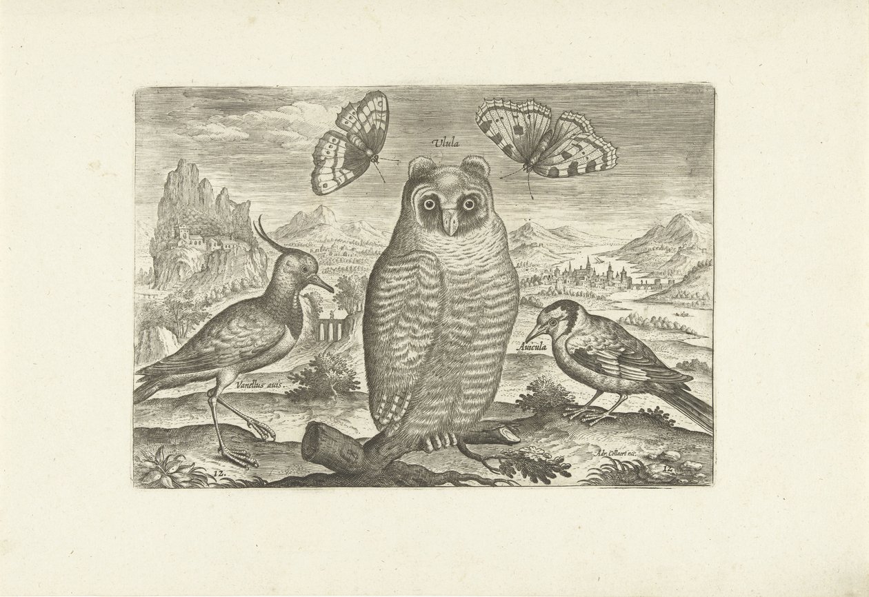 Birds and Butterflies in a Landscape (Birds / Avivm vivae) by Adriaen Collaert