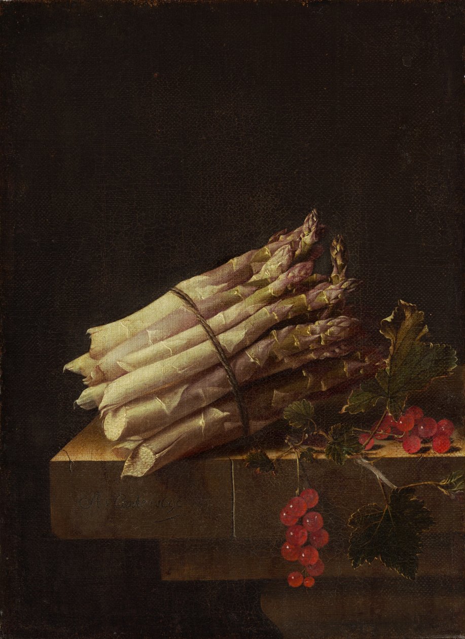 Still Life with Asparagus and Red Currants by Adrian Coorte