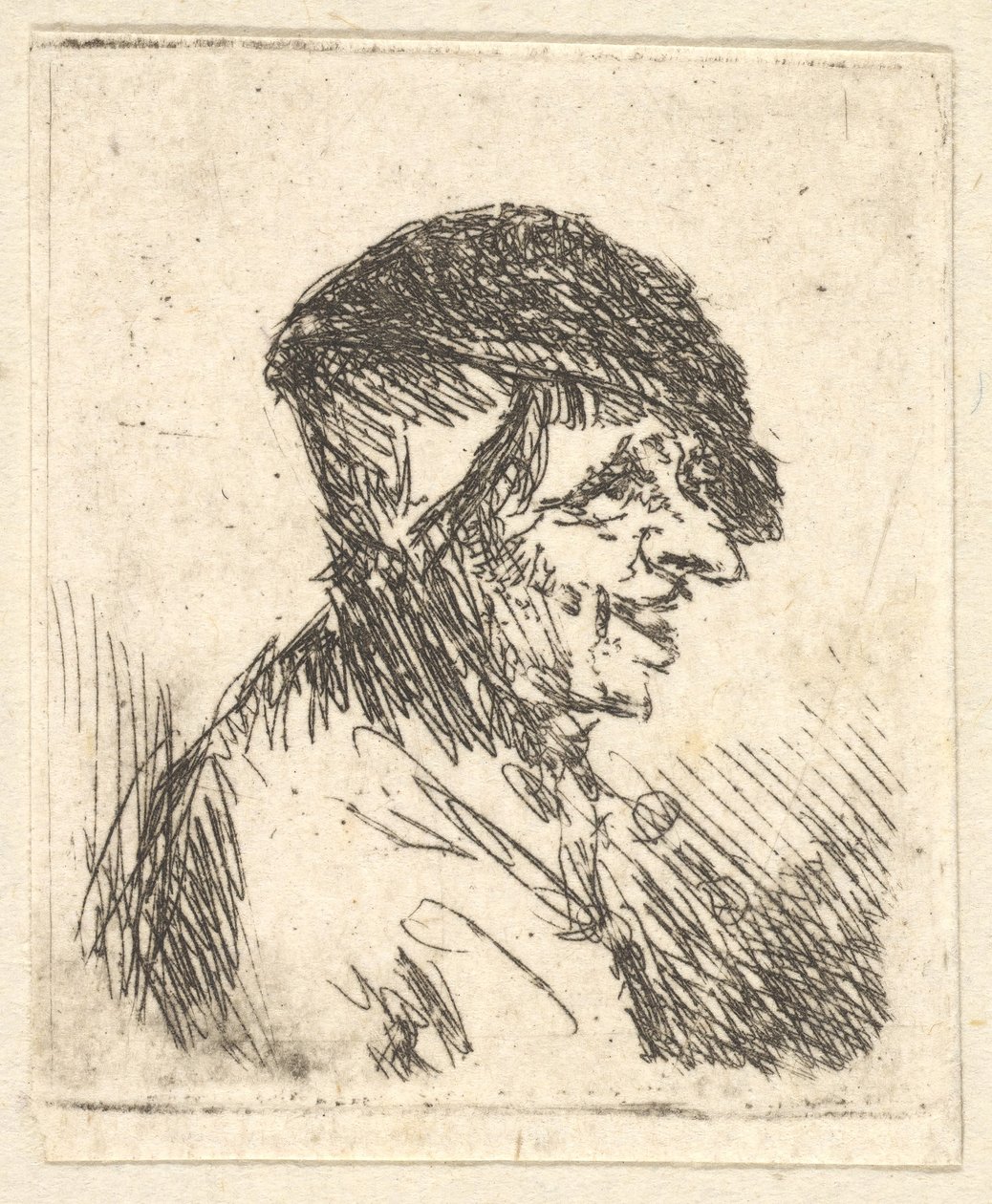 Head of Peasant, 17th century by Adriaen Jansz. van Ostade
