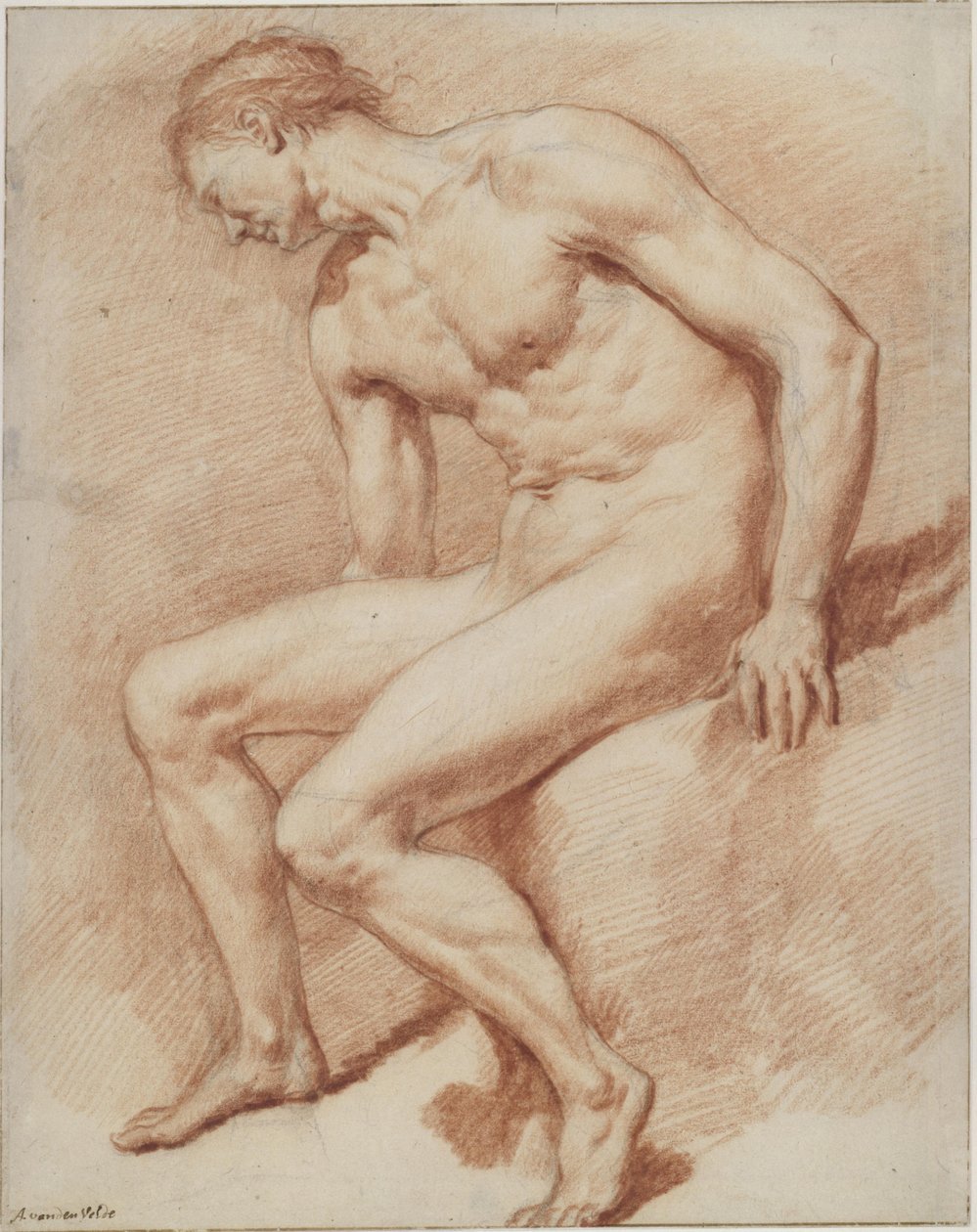 Seated Male Nude by Adriaen van de Velde
