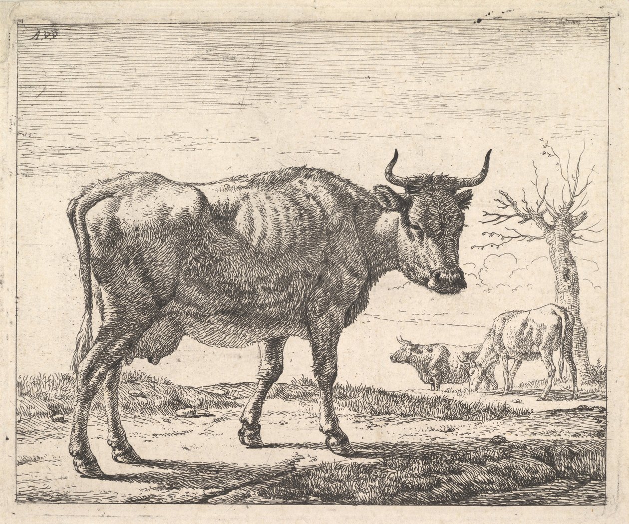 Three Cows by Adriaen van de Velde