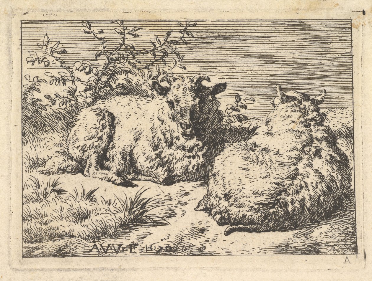Two Recumbent Sheep by Adriaen van de Velde