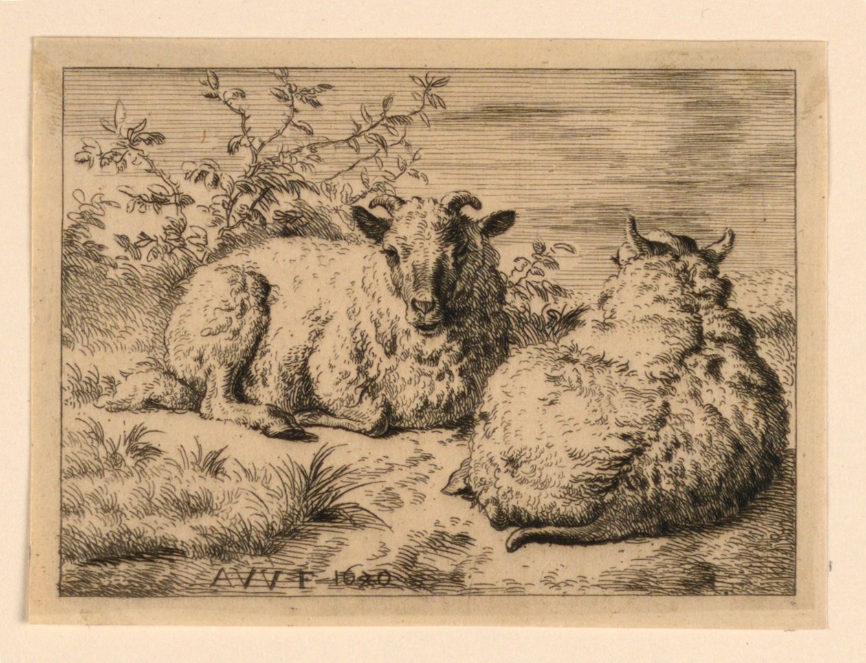 The Two Sheep by Adrian van de Velde