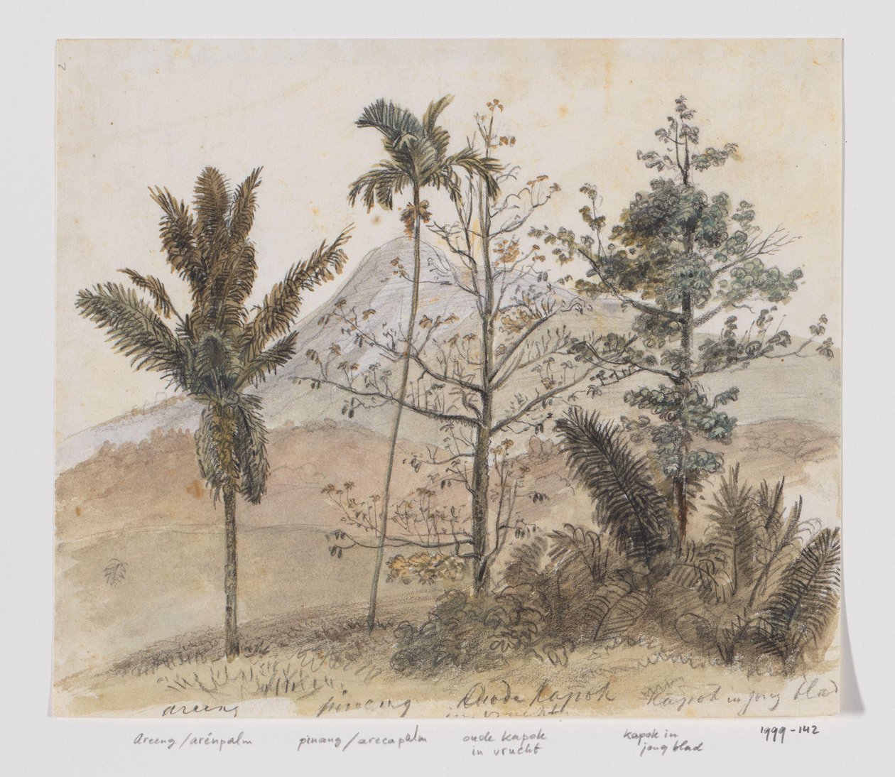 Trees in Mountain Landscape, Java by Adrianus Johannes Bik
