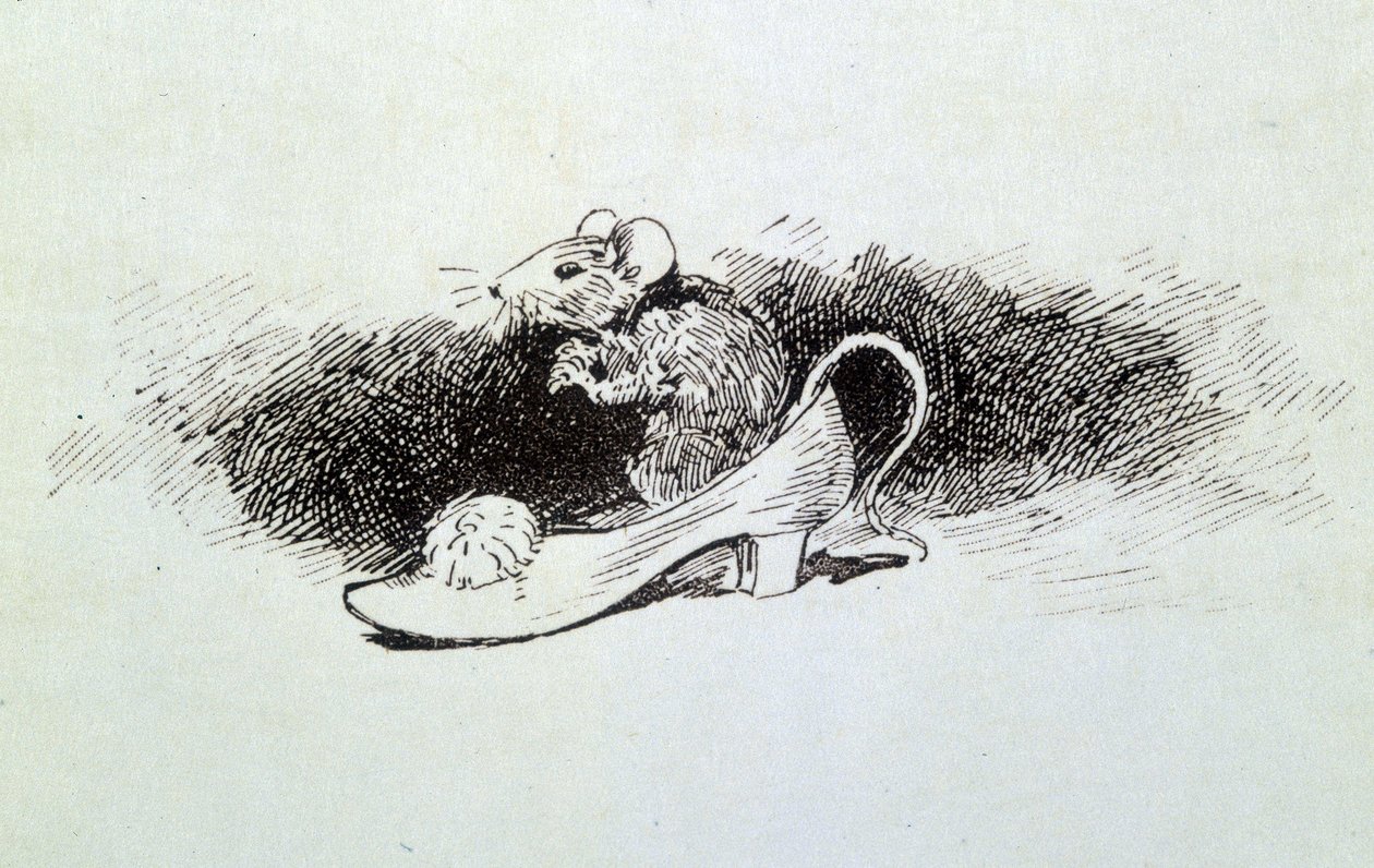 Cinderella - in 