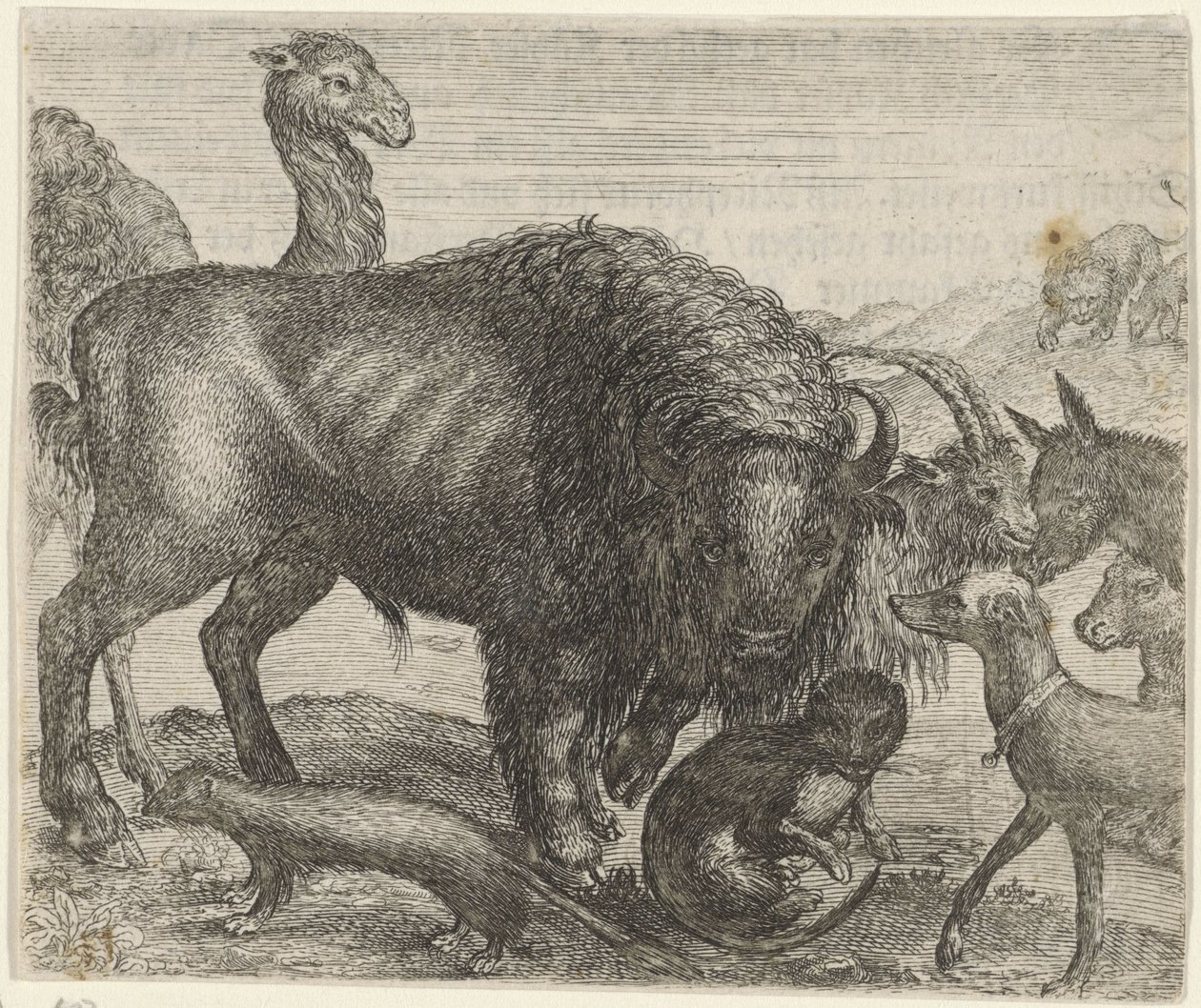 Fable of the Bison and Other Animals by Egidius  Sadeler (II)
